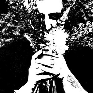 An Opium Dream 的头像