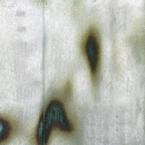 Avatar for Fibreforms