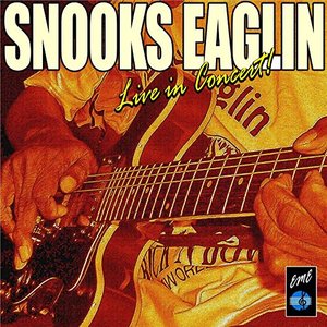 The Snooks Eaglin Live in Concert