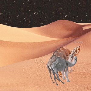 DUNES
