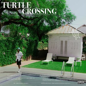 Turtle Crossing