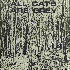 All Cats Are Grey 的头像