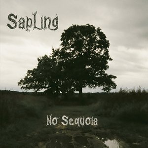 No Sequoia
