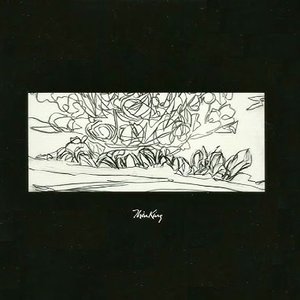 ThinKing cover