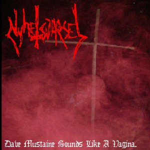 “Dave Mustaine Sounds Like A Vagina”的封面