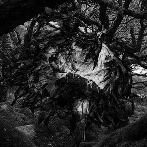 As Thou Wilt için avatar