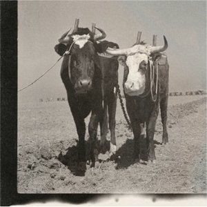 Heavy Things - Single