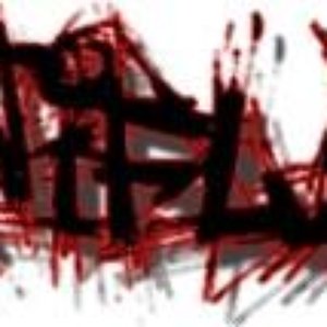 Cultiflyy 的头像