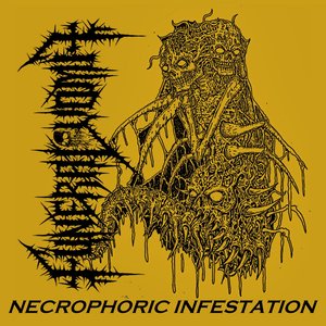 Necrophoric Infestation