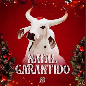 Natal Garantido
