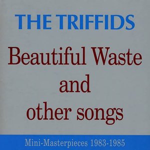 Beautiful Waste (and Other Songs) - Mini Masterpieces 1983-1985