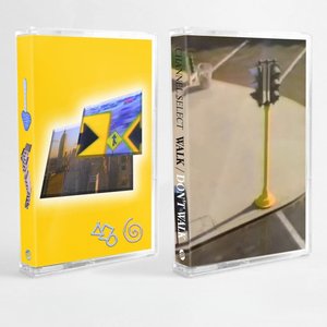 Light Moves / Walk / Don't Walk
