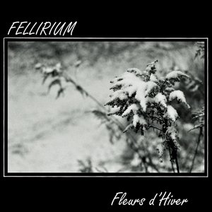 Image for 'Fleurs D'Hiver'