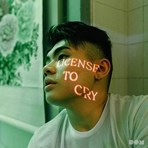 License to Cry