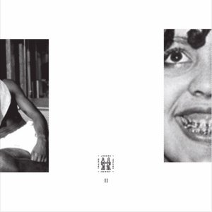 Jheri Tracks Vol 2 - II