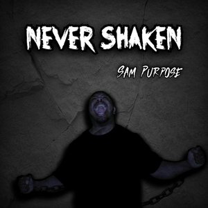 Never Shaken - Single