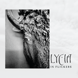 In Flickers cover