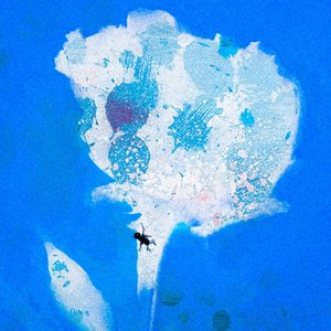 Slide I - Single