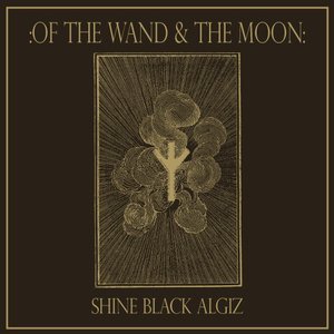 Shine Black Algiz