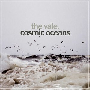 Cosmic Oceans