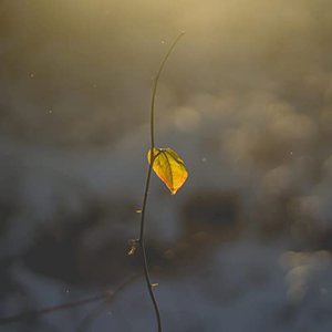 Sunshine in Winter - EP
