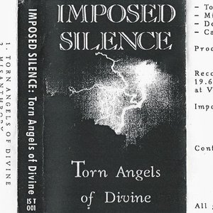 Torn Angels of Divine