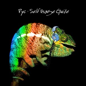 Self Usage Guide