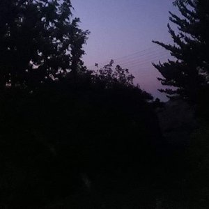 AV_Syndrome_0.1