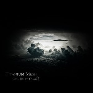 Titanium Mesh - Single