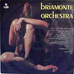 Briamonte Orchestra 的头像