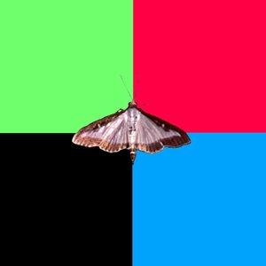 Face the Power of the Sun!