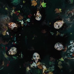 The Mothers Earth Experiment 的头像