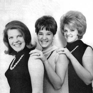 The Bermudas photo provided by Last.fm