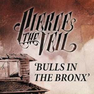 Image for 'Bulls in the Bronx'