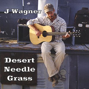 Desert Needle Grass