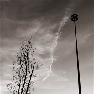 Lightpost 的头像