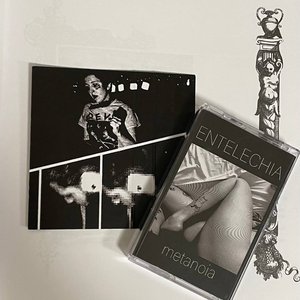 Entelechia 的头像