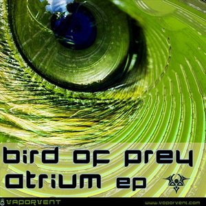 “Bird Of Prey feat. Tim Conrardy”的封面