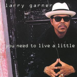 Larry Garner - 100 Pure Groove [disc 2] - Zortam Music