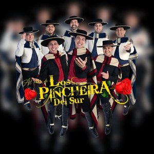 Avatar for Los Pincheira del sur Oficial