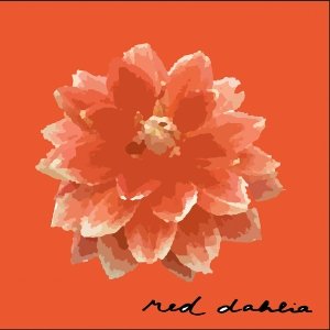 Red Dahlia
