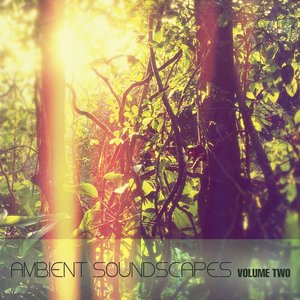 Ambient Soundscapes, Vol.2
