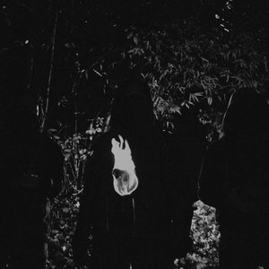 Avatar for Dead Moon Temple