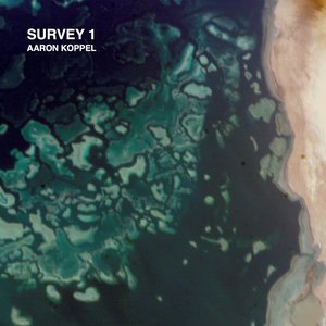 Survey 1 - Single