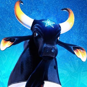 Avatar for Boi Bumbá Caprichoso e Patrick Araújo