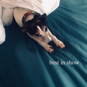 Best in Show