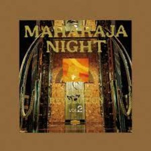 MAHARAJA NIGHT HI-NRG REVOLUTION (VOL.2)