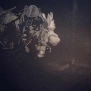 Wilted Flowers