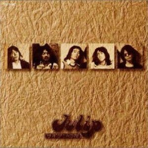 サボテンの花〜オリジナル・チューリップ・セレクション