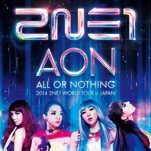 2014 2NE1 WORLD TOUR ~ALL OR NOTHING~ in JAPAN